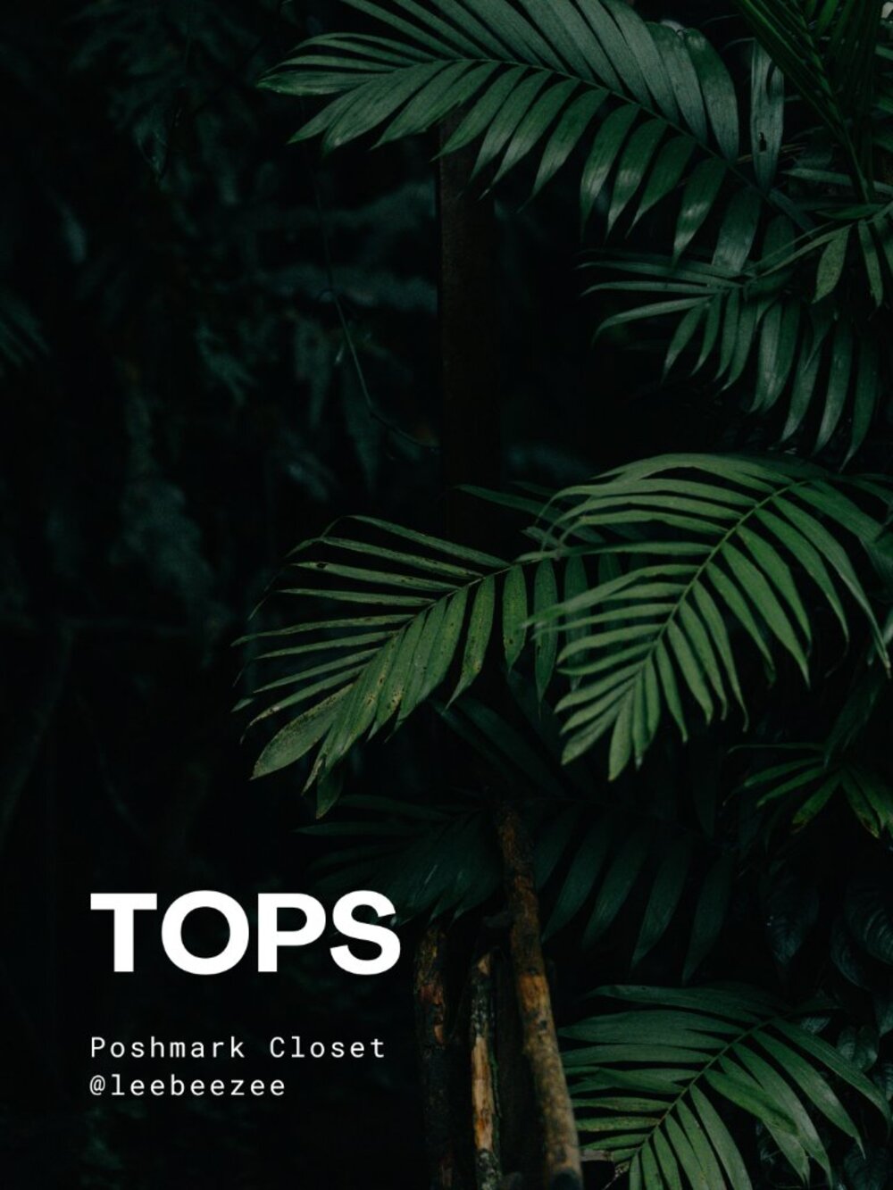 SHOP TOPS!